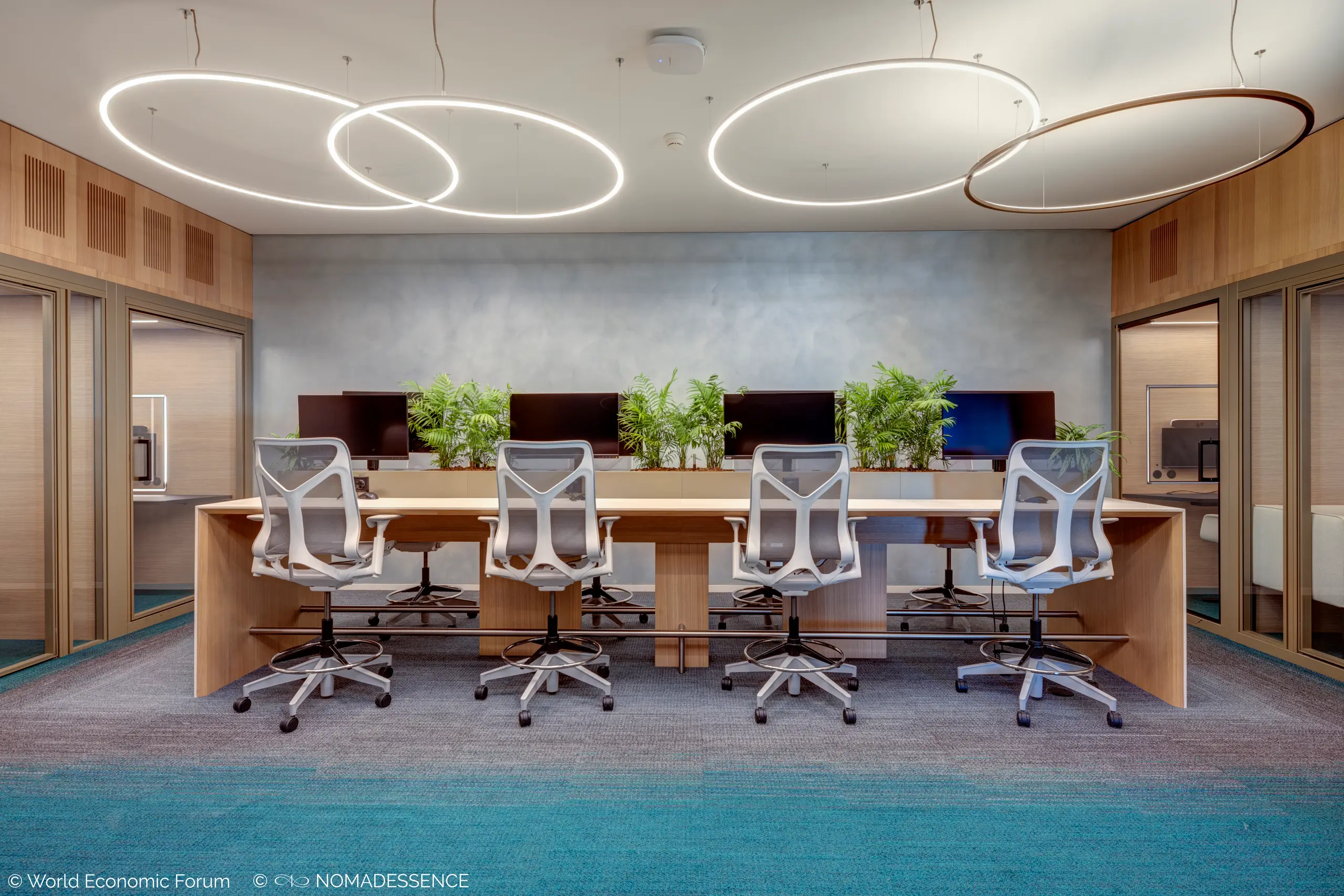 Human-centred open workspace with layered lighting and biophilic planting